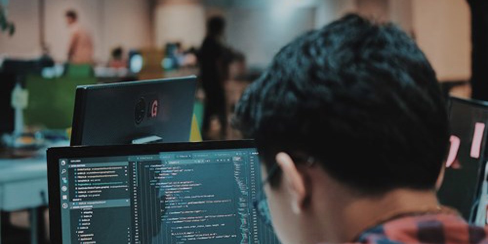Junior .NET Developer