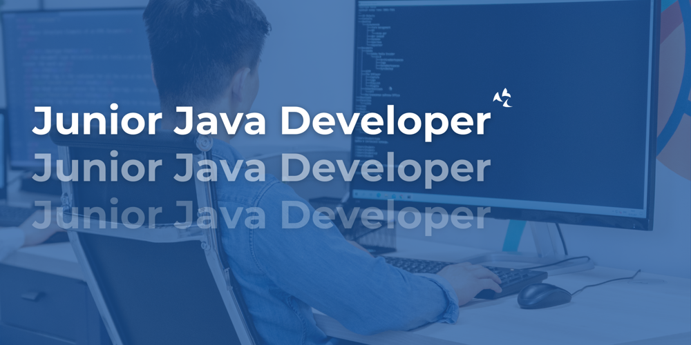 Junior Java Developer