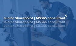 Junior SharePoint | MS365 Consultant